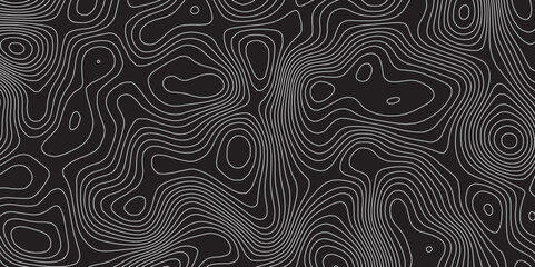 Abstract topographic map background. Topographic map lines contour background. 
