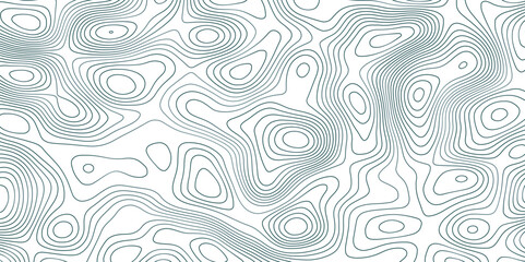 Abstract topographic map background. Topographic map lines contour background. 
