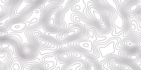 Abstract topographic map background. Topographic map lines contour background. 
