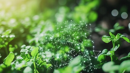 Smart Agriculture:  Nature and Technology Intertwined