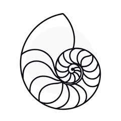 Obraz premium a black and white line drawing of a nautilus shell