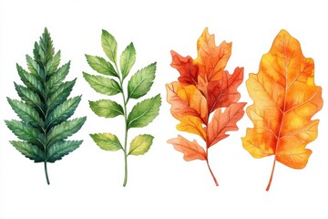 A collection of illustrated leaves in various colors and shapes.