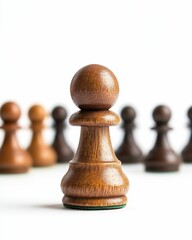 Wooden chess piece, forefront, blurred background, others.