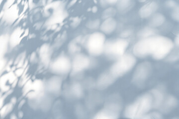 Fototapeta premium Abstract Tree Leaves Shadow on White Wall - Natural Minimalist Design