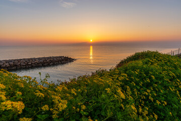 Amanecer sobre el mar Mediterráneo con el sol emergiendo en el horizonte, rodeado de vegetación...