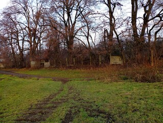 View of an old park with an old ruined concrete fence. Beautiful park landscape in autumn with tall gloomy trees and green grass.