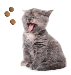 Adorable kitten and flying dry food on white background. Pet care