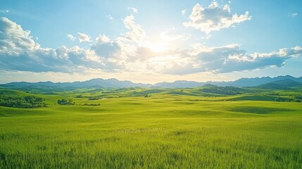 Obraz premium A serene landscape featuring lush green fields under a bright blue sky with fluffy clouds, illuminated by warm sunlight.