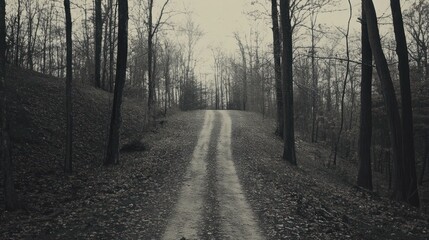 Obraz premium A winding dirt path through a bare, moody forest in grayscale.