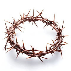 Obraz premium Crown of thorns on a white background.