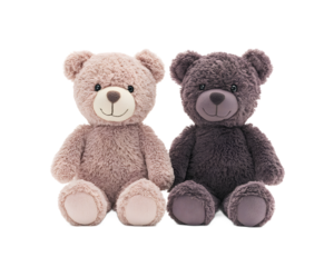 Two adorable plush teddy bears, one light brown and one dark brown, sitting side by side on a white background.