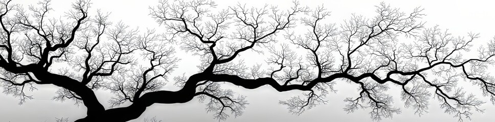 The seamless design features hand-drawn ornaments adorned with berries and Christmas plants. Merry Christmas and Happy New Year. Black brush strokes.