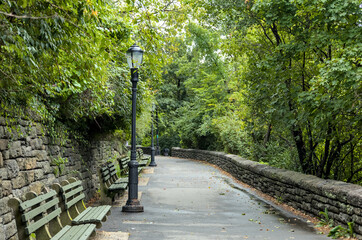 scenic beautiful view of nature in fort tryon park manhattan new york city (nyc public parks with bridges, benches recreation) landscaping (bench bridge overpass) grass vines trees tree hinoki cypress