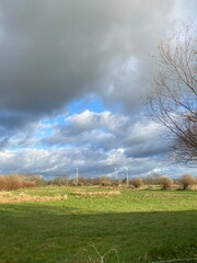 Himmel und Windkraft und Schafe