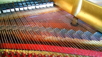 piano strings, with open tail
