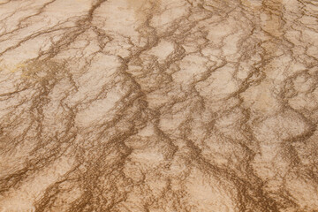 Patterns formed in geyserite from hot spring, Yellowstone National Park