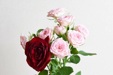 ピンクと赤のばら