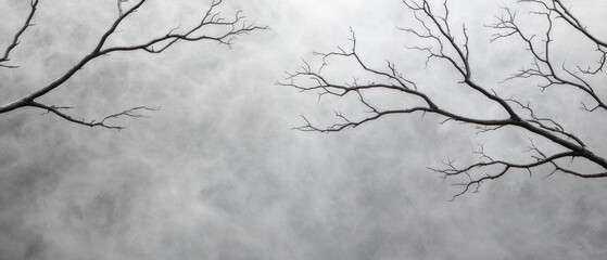 Obraz premium Barren branches against a cloudy sky create a haunting atmosphere.
