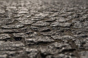 CITY STREET - Beautiful cobblestones on a road surface
