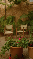 Cozy outdoor patio with two empty chairs surrounded by plants and terracotta pots against a rustic stone wall