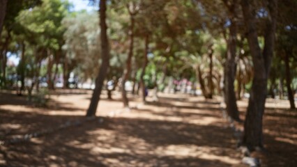 Blurred view of an outdoor park with trees casting shadows on a sunny day showcasing natural bokeh and a defocused background
