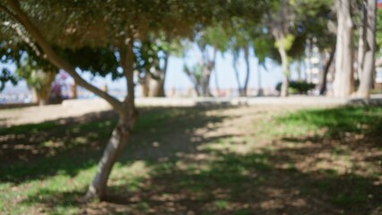 Defocused outdoor park scene with blurred trees and dappled sunlight creating a serene atmosphere