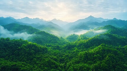 Fototapeta premium A serene aerial view of lush green mountains enveloped in mist, illuminated by soft sunlight breaking through the clouds.