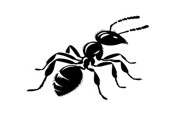 The ant black-and-white image for illustration.