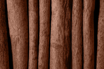 brown mocha color of 2025 year