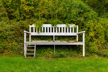 A charming white bench sits against a lush green backdrop, partially covered by creeping foliage. Its rustic look invites relaxation in nature.