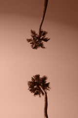 brown mocha color of 2025 year