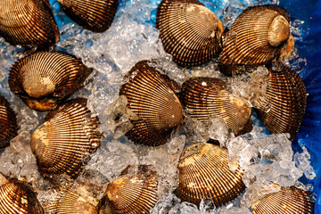 Fresh Clams on Ice A Perfect Delightful Seafood Experience for Food Lovers and Chefs