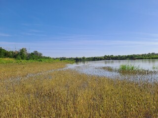 landscape with river and sky