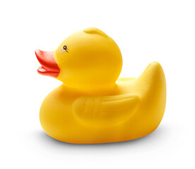 One yellow duck toy