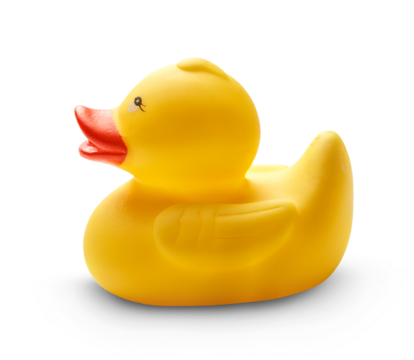 One yellow duck toy