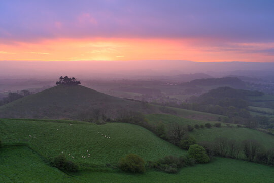 Vibrant sunrise at Colmers Hill in the beautiful Dorset countryside on a calm spring morning. England, UK.