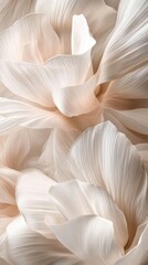 Soft, delicate petals in a serene, neutral-toned composition.