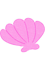 Seashell illustration