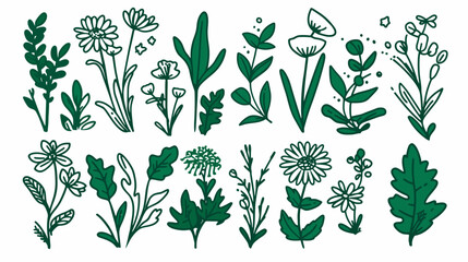 Hand-Drawn Floral Illustrations: Botanical Clipart for Creative Design