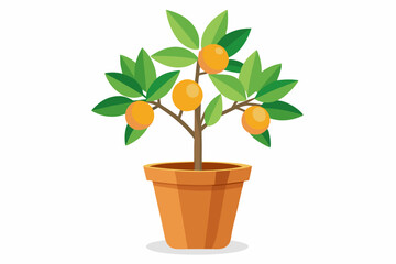 A small citrus tree in the pot isolated on white background Vector illustration