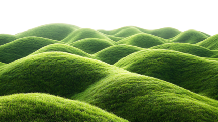 Showcase Serene Landscapes