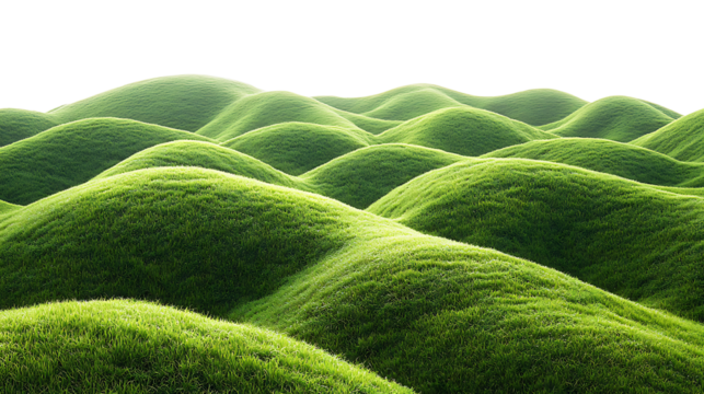 Showcase Serene Landscapes