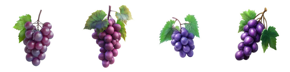 Fototapeta premium Fresh clusters of ripe grapes, showcasing rich colors and vibrant leaves. Perfect for culinary and healthy lifestyle themes.