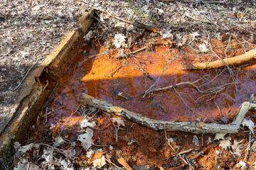 Very ferruginous water gushes from a water source .