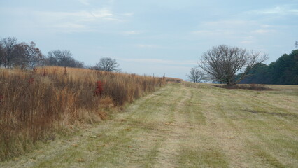 The valley Forge view with the meadows and woods in the USA
