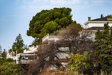 Fototapety na wymiar - Fototapeta24.pl