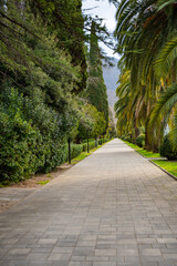 Fototapeta premium A park with a path lined with trees and benches
