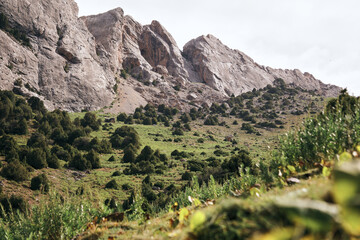view of the mountain landscape with rocks and a green field with trees