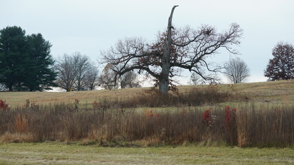 The valley Forge view with the meadows and woods in the USA
