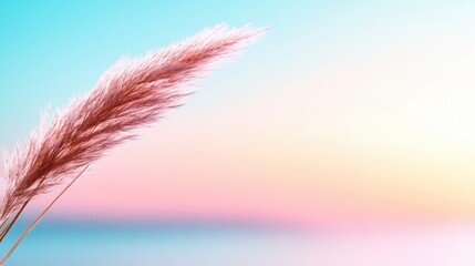 The image showcases a delicate pink feathery plant set against a vibrant and colorful sunrise, creating a serene and peaceful atmosphere that captures natural beauty.